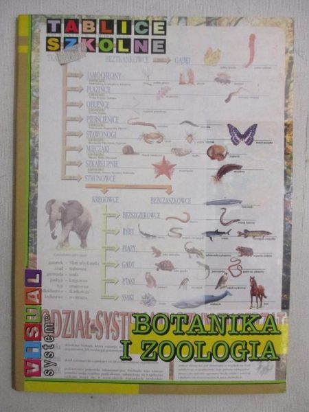Tablice szkolne. Botanika i zoologia