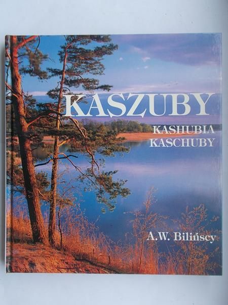 Bilińscy A. W. - Kaszuby