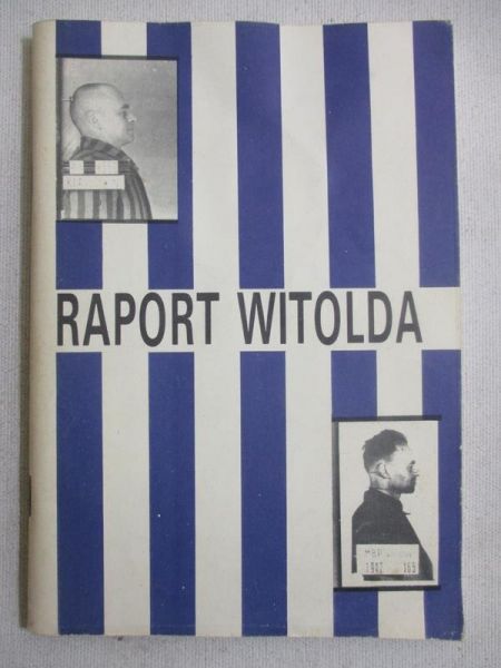 Raport Witolda