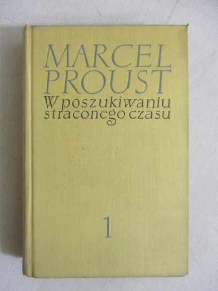 W poszukiwaniu straconego czasu, Tom I