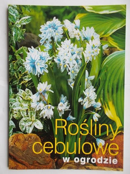 Rośliny cebulowe w ogrodzie