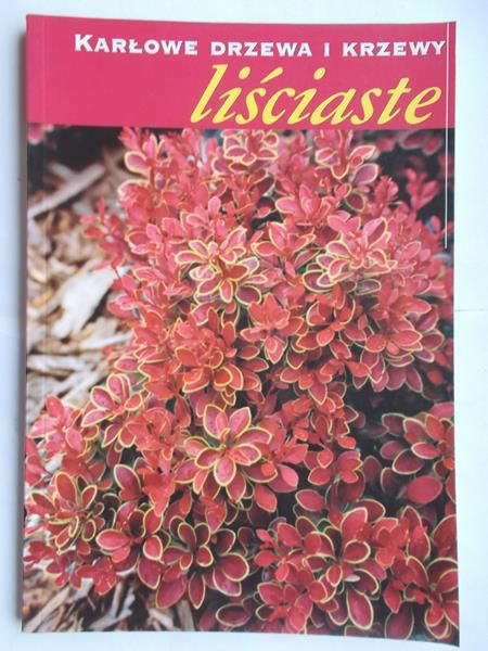 Karłowe drzewa i krzewy liściaste