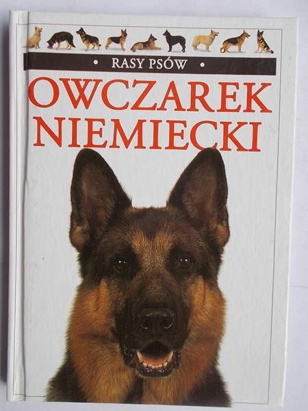 Owczarek niemiecki
