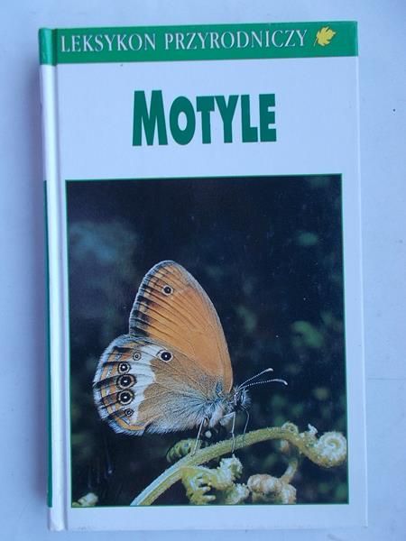Motyle