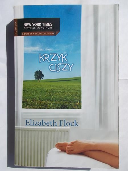 Krzyk ciszy