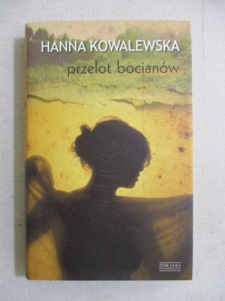 Przelot bocianów