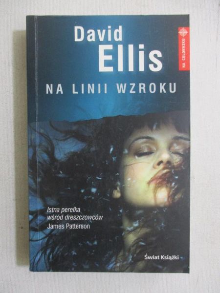 Na linii wzroku
