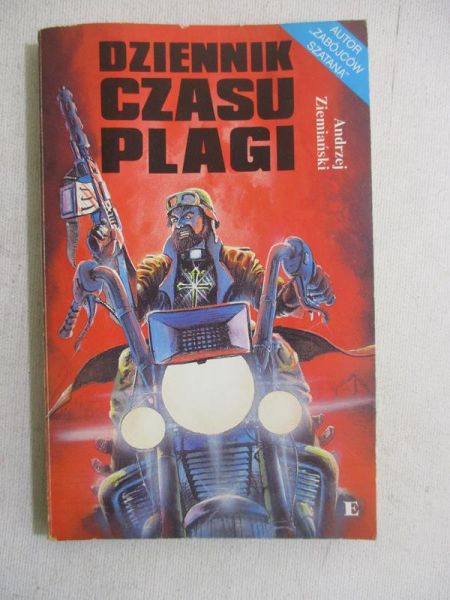 Dziennik czasu plagi