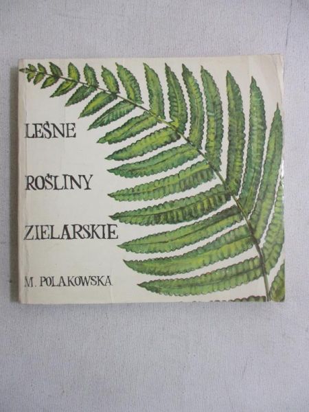Leśne rośliny zielarskie