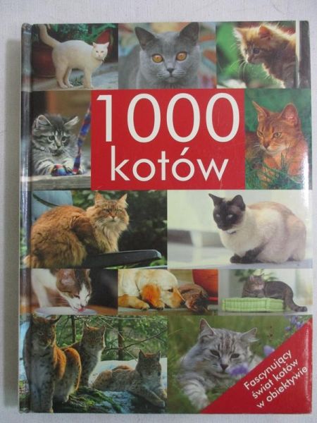 1000 kotów. Fascynujący świat kotów w obiektywie