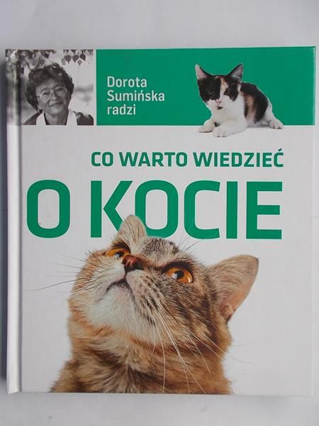 Co warto wiedzieć o kocie