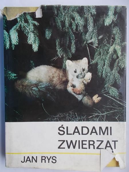 Śladami zwierząt