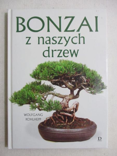 Bonzai z naszych drzew