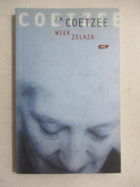 Wiek żelaza