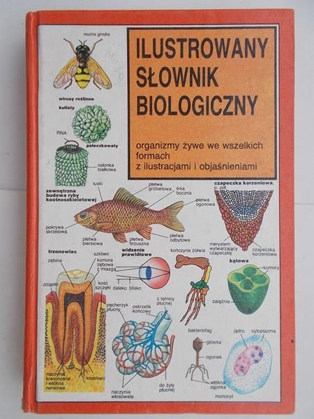 Curtis Neil - Ilustrowany słownik biologiczny