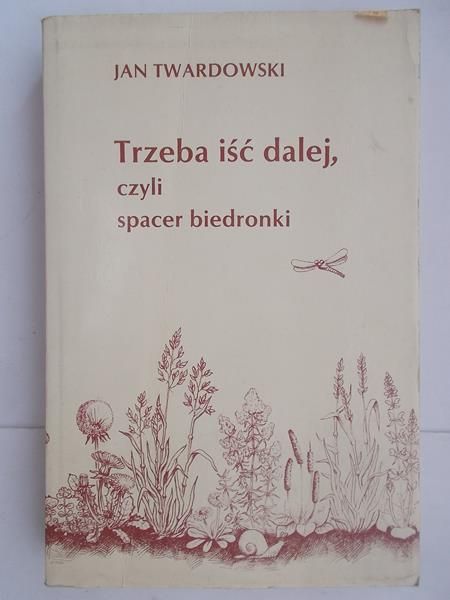 Trzeba iść dalej, czyli spacer biedronki