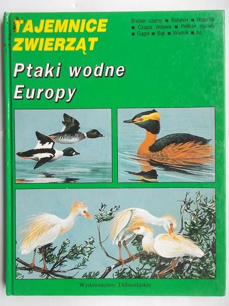Tajemnice zwierząt. Ptaki wodne Europy