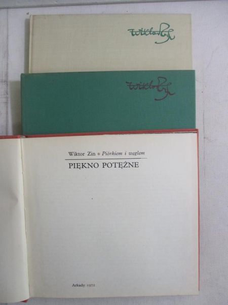 Piękno utracone / Piękno nie dostrzegane / Piękno potężne