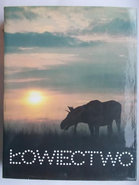 Łowiectwo
