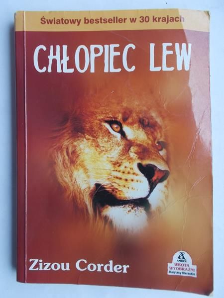 Chłopiec lew