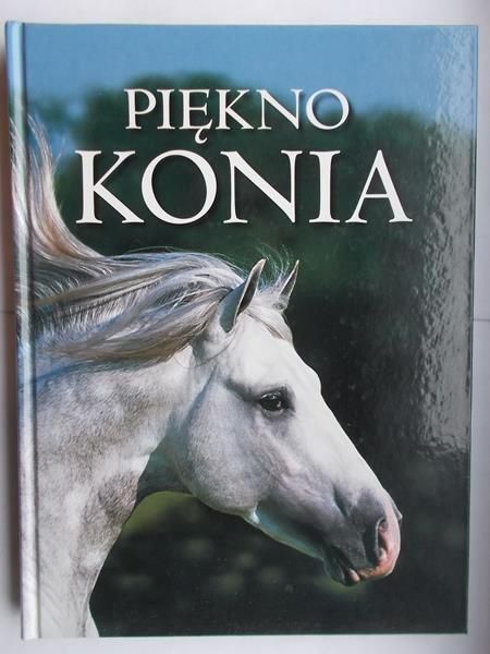 Piękno konia