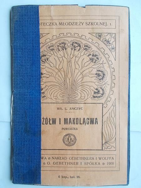 Żółw i makolągwa, 1908 r.