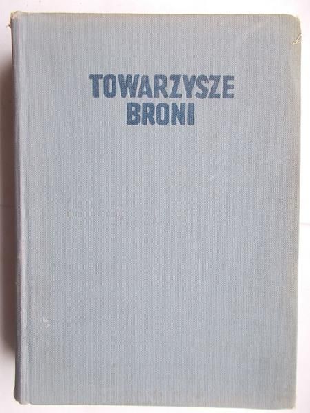 Towarzysze broni