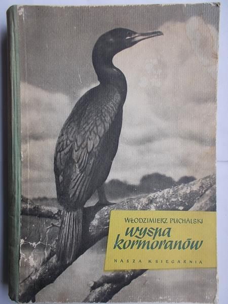 Wyspa kormoranów