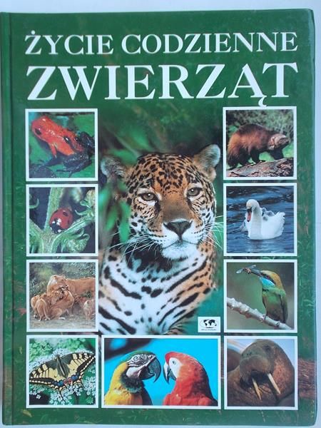 Cerfolli Fulvio - Życie codzienne zwierząt
