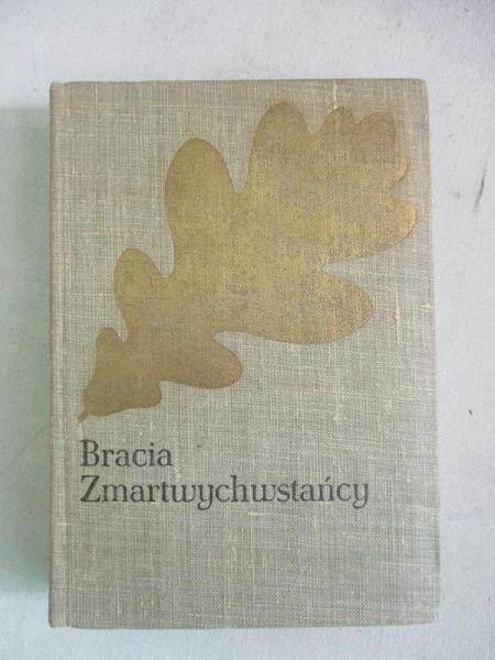 Kraszewski Józef Ignacy - Bracia zmartwychwstańcy
