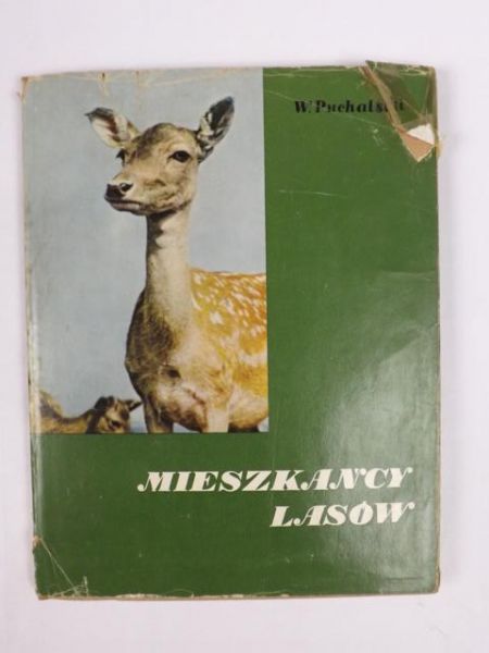 Mieszkańcy lasu