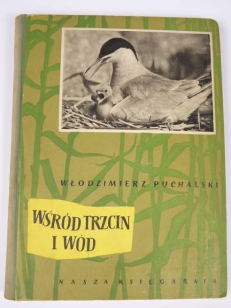 Wśród trzcin i wód