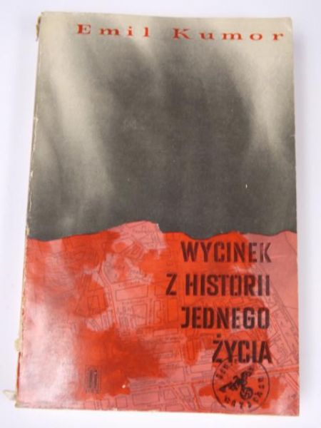 Wycinek z historii jednego życia