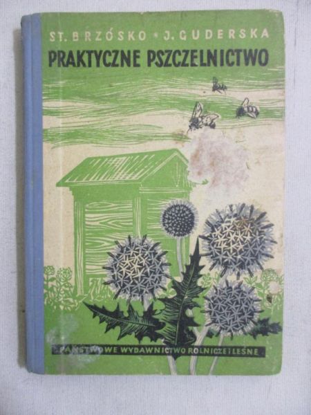 Praktyczne pszczelnictwo