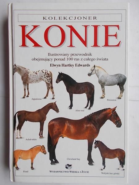Konie