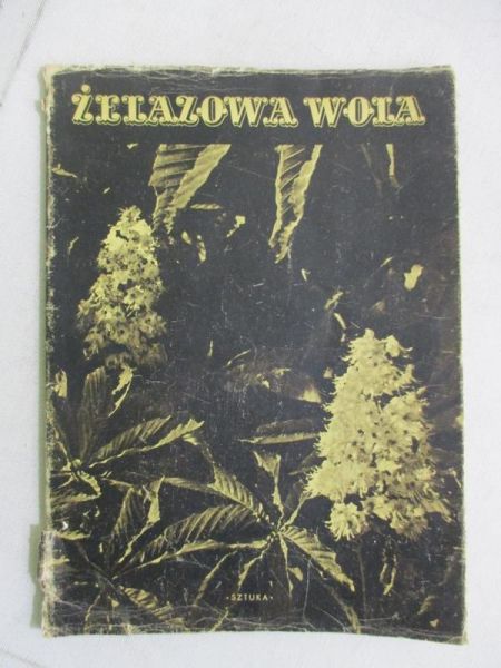 Żelazowa Wola