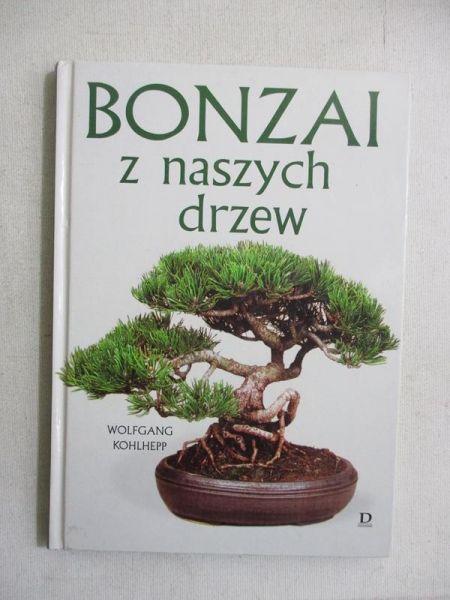 Bonzai z naszych drzew