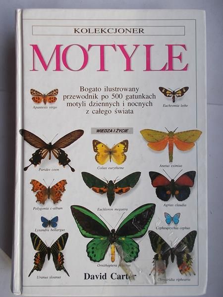 Motyle