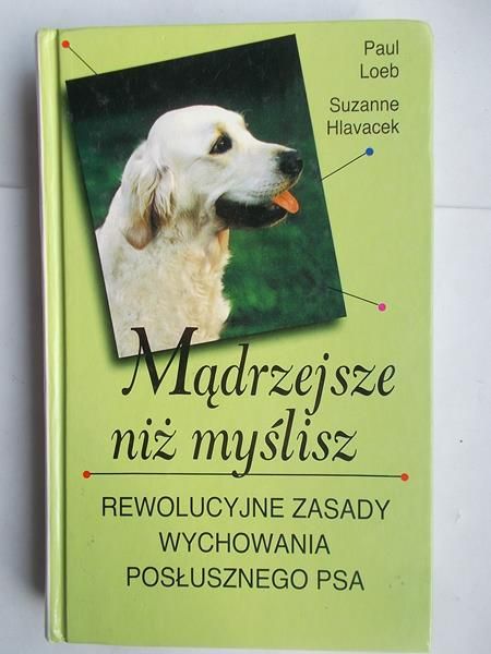 Mądrzejsze niż myślisz