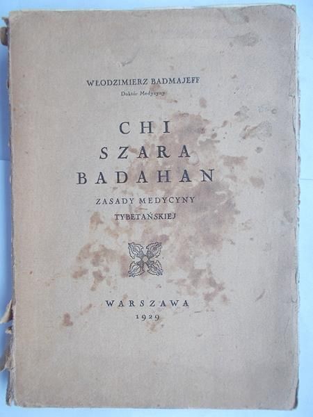 Chi szara Badahan