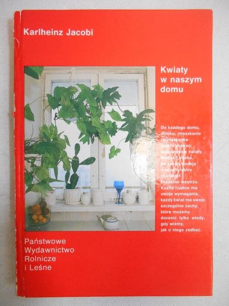Kwiaty w naszym domu