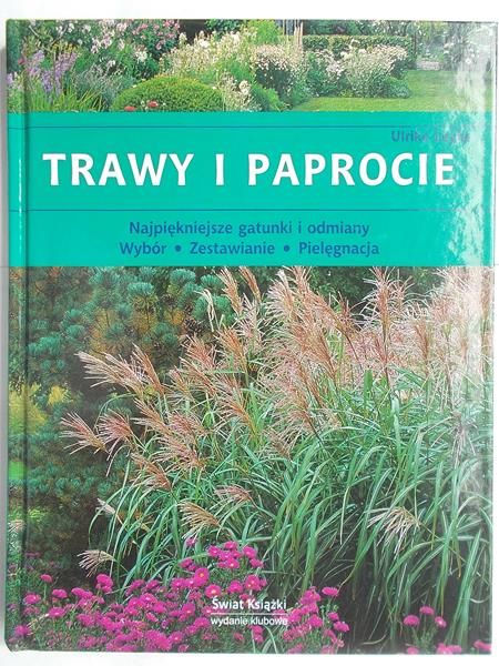 Leyhe Ulrike - Trawy i paprocie