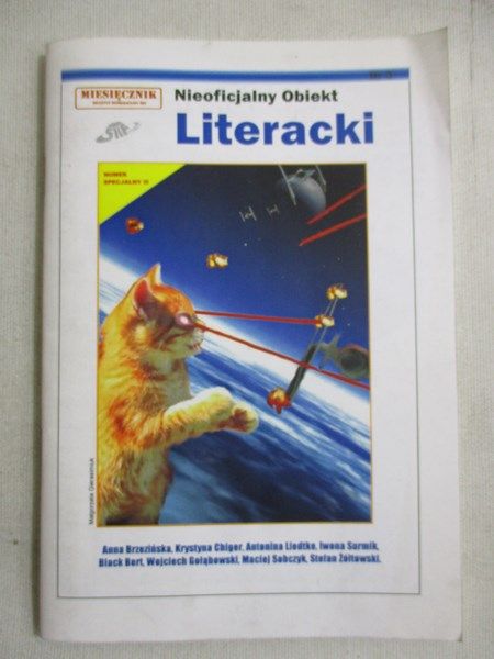 Nieoficjalny obiekt literacki