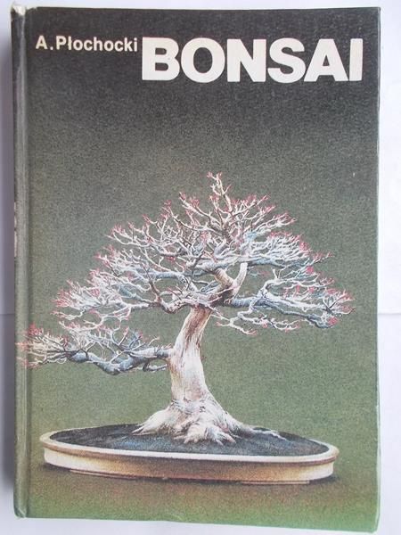 Bonsai-sztuka miniaturyzacji drzew i krzewów