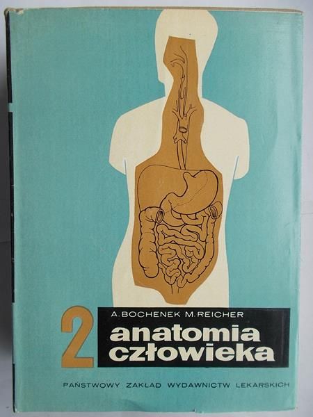 Anatomia człowieka 5