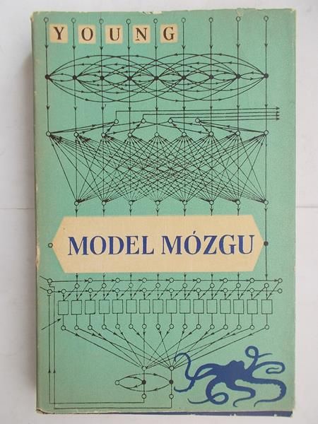 Model mózgu