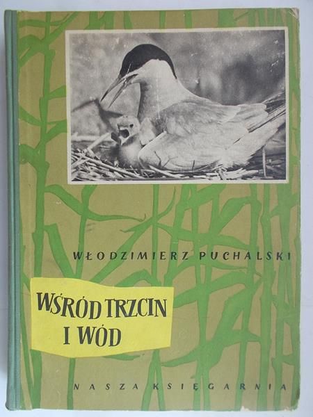 Wśród trzcin i wód