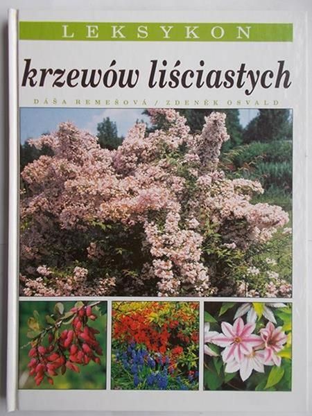 Leksykon krzewów liściastych
