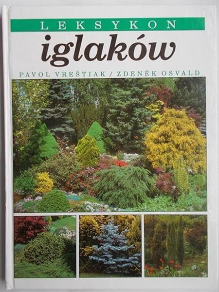 Leksykon iglaków
