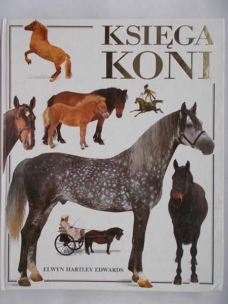Księga koni